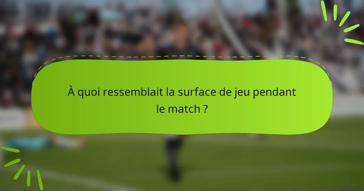 À quoi ressemblait la surface de jeu pendant le match ?